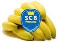 Logo Partenaire 8